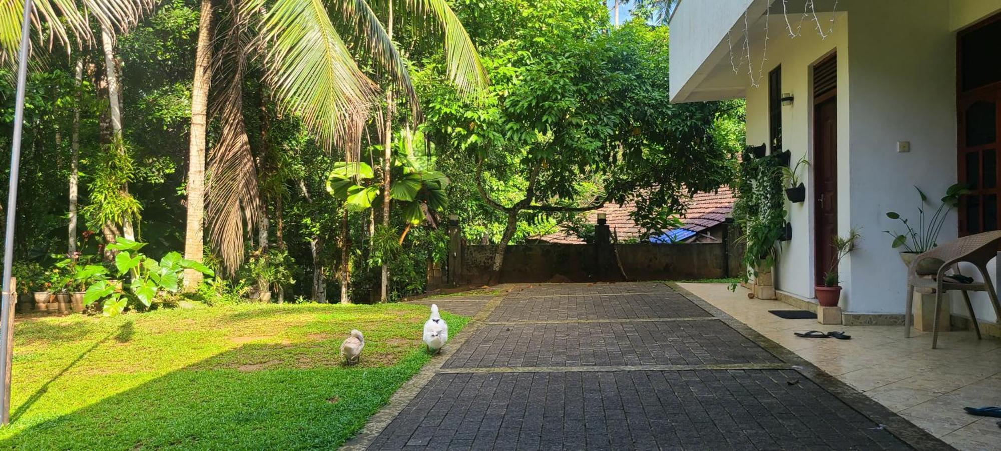 'Kolamba Gedara' Green Apartment Ruwanwella Экстерьер фото
